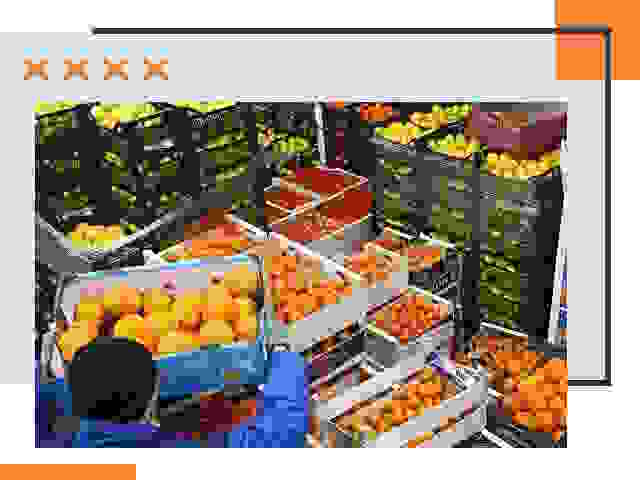 Перевозка скоропортящихся продуктов в Усть-куте